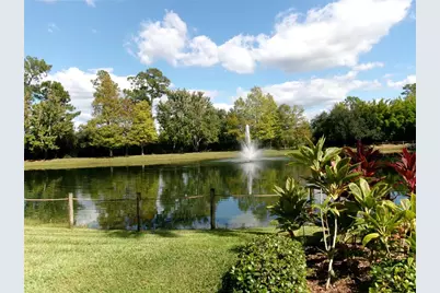 14501 Grove Resort Avenue #1612, Winter Garden, FL 34787 - Photo 51