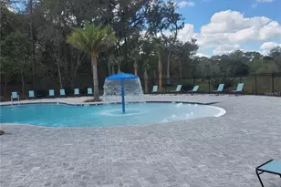 823 Chinoy Rd, Davenport, FL 33837 - Photo 75