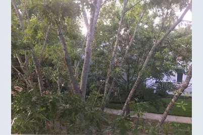 425 Water #425, Celebration, FL 34747 - Photo 11