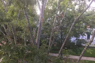 425 Water, Celebration, FL 34747 - Photo 11