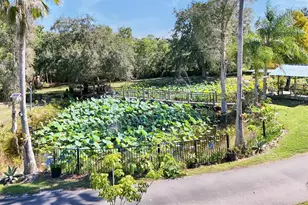 4540 Pine Tree Dr, Saint Cloud, FL 34772 - Photo 53