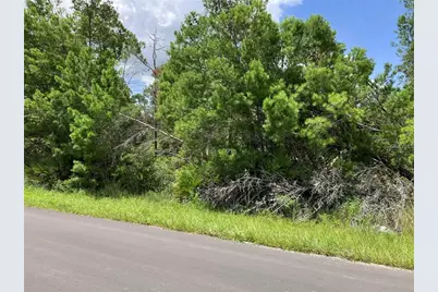 Forehand Road, Davenport, FL 33896 - Photo 1