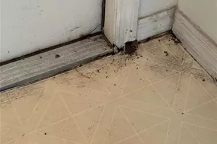 13326 Sproston Point, Orlando, FL 32832 - Photo 45