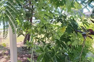 417 Club Cir, Lakeshore, FL 33854 - Photo 27