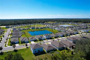 33622 Sky Blossom Cir, Leesburg, FL 34788 - Photo 47