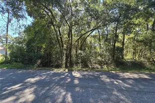 Lot 11 NW 16th Pl, Ocala, FL 34482 - Photo 1