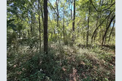 Lot 11 NW 16th Place, Ocala, FL 34482 - Photo 7