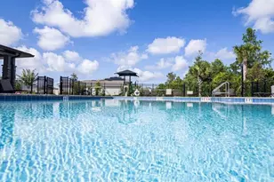 176 Pink Ibis Bnd, Saint Cloud, FL 34772 - Photo 29