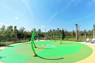 2377 Palm Park Loop, Clermont, FL 34714 - Photo 45