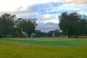 225 High Vista Dr, Davenport, FL 33837 - Photo 43