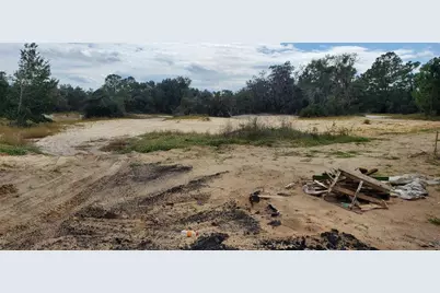 Trout Way, Poinciana, FL 34759 - Photo 3