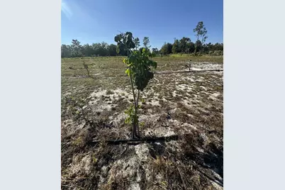 61681 Krazy Court, Saint Cloud, FL 34773 - Photo 11