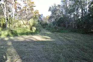 1605 8th St, Orlando, FL 32820 - Photo 59