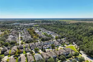 6806 Butterfly Dr, Saint Cloud, FL 34773 - Photo 45