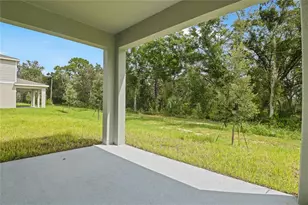 1026 Cloud Ridge Ct, Mount Dora, FL 32757 - Photo 17