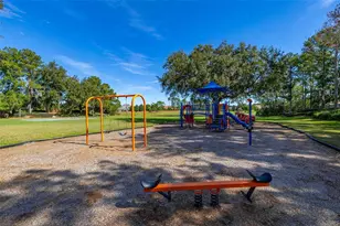 11438 Arborside Bend Way, Windermere, FL 34786 - Photo 59