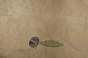 291 Flower Ln, Kissimmee, FL 34743 - Photo 15