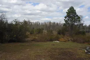 8860 Parliament Ct, Kissimmee, FL 34747 - Photo 7