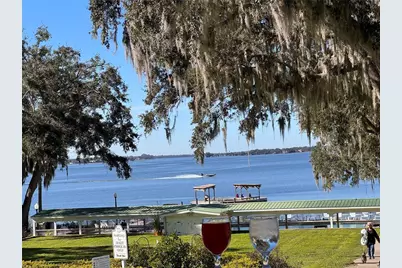 3385 Lake Diane Road, Tavares, FL 32778 - Photo 43