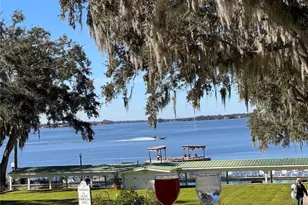 3385 Lake Diane Rd, Tavares, FL 32778 - Photo 43