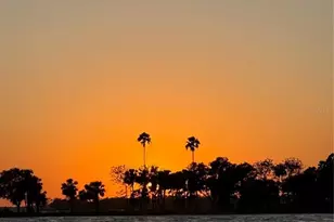 3385 Lake Diane Rd, Tavares, FL 32778 - Photo 49