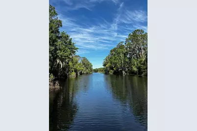 3385 Lake Diane Road, Tavares, FL 32778 - Photo 31