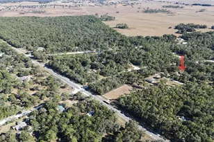 16200 SW 50th Street Rd, Ocala, FL 34481 - Photo 51