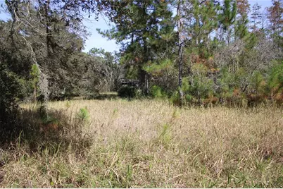 Duboise Drive, Clermont, FL 34711 - Photo 7