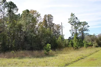 Duboise Drive, Clermont, FL 34711 - Photo 9