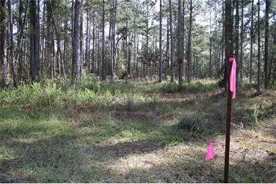 Duboise Drive, Clermont, FL 34711 - Photo 19