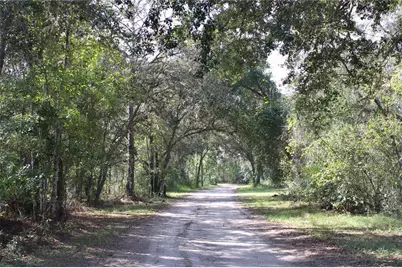 Duboise Drive, Clermont, FL 34711 - Photo 5