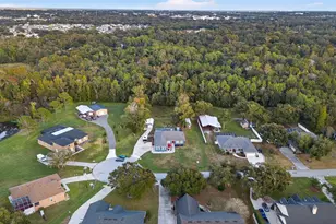 3229 Gardner Oaks Ln, Lakeland, FL 33810 - Photo 3