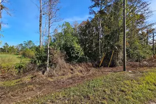 Luna Dr, Saint Cloud, FL 34773 - Photo 1