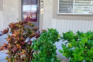 6328 Newtown Cir, Tampa, FL 33615 - Photo 3