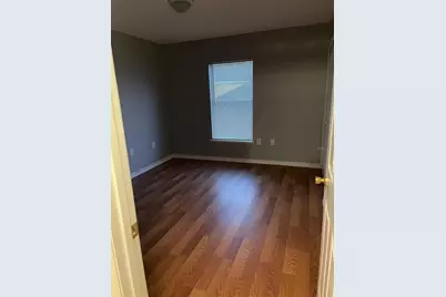 30404 Pongo Way, Wesley Chapel, FL 33545 - Photo 5