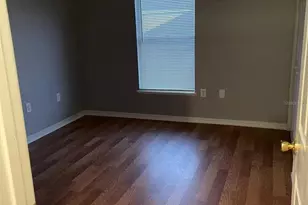 30404 Pongo Way, Wesley Chapel, FL 33545 - Photo 5