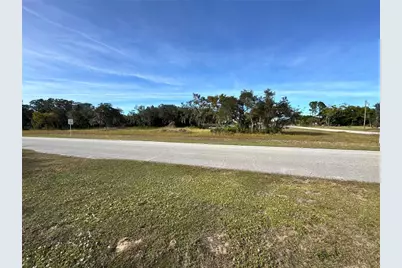 Fast Trot Trail, Lake Wales, FL 33898 - Photo 3