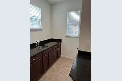 12621 Salomon Cove Drive, Windermere, FL 34786 - Photo 29