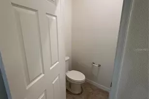 12621 Salomon Cove Dr, Windermere, FL 34786 - Photo 23