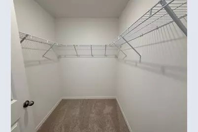 10821 Ironwood Tree Way, San Antonio, FL 33576 - Photo 15