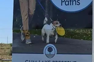 3881 Corsican Pl, Lake Alfred, FL 33850 - Photo 37