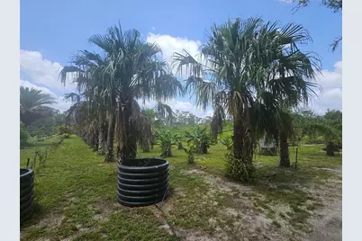 21910 Taylor Drive, Bradenton, FL 34211 - Photo 13