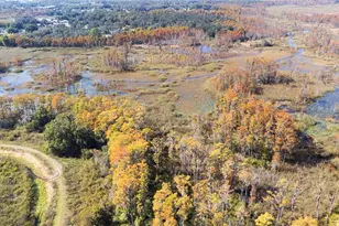 15155 Silver Eagle Rd, Groveland, FL 34736 - Photo 37