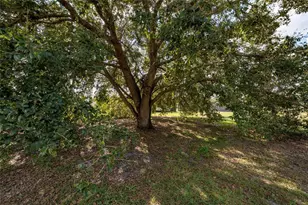 632 Deauville Ct, Kissimmee, FL 34758 - Photo 29