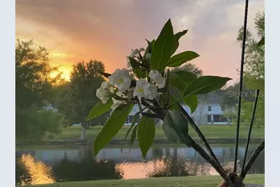 3050 Mandolin Drive, Kissimmee, FL 34744 - Photo 27