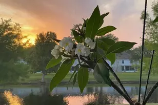 3050 Mandolin Dr, Kissimmee, FL 34744 - Photo 27