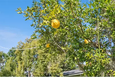 1801 Lakeshore Boulevard, Saint Cloud, FL 34769 - Photo 27