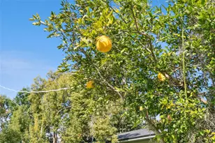 1801 Lakeshore Blvd, Saint Cloud, FL 34769 - Photo 27