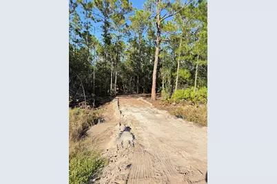 E Colonial Drive, Christmas, FL 32709 - Photo 1