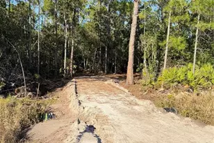 E Colonial Dr, Christmas, FL 32709 - Photo 1